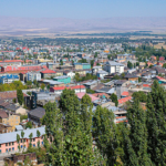 Muş