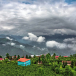 Ordu