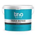 Tavan Boyası